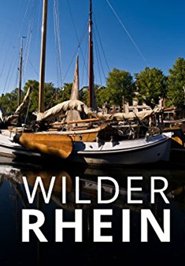 Wilder Rhein
