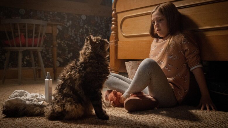 Wer streamt Friedhof der Kuscheltiere? Film online schauen